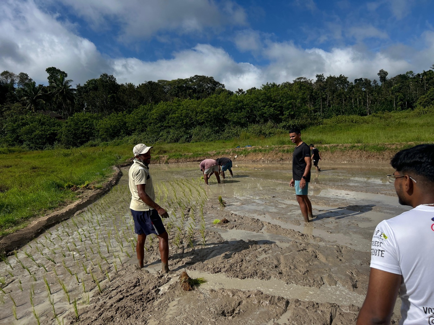 Us, working the Rajamudi field in Coorg